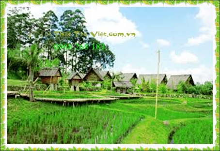Nhà tre mái lá đồng quê 41