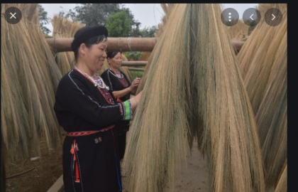 Mua cây chít ,cây đót 