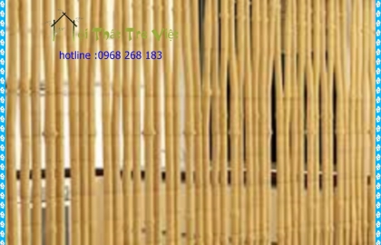 Tre Hàng Rào 18