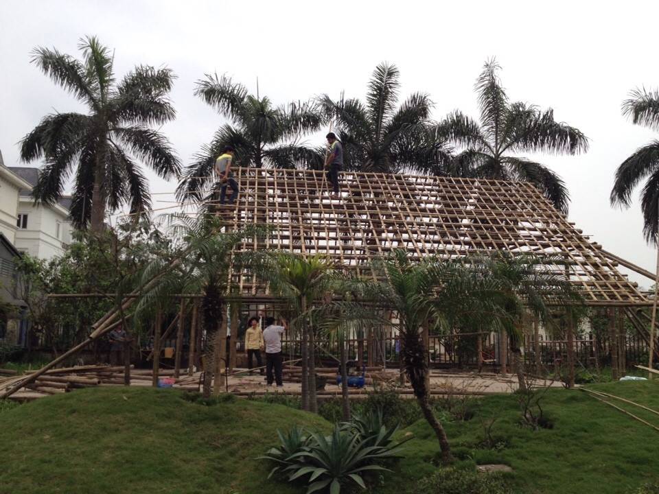 bamboo viet nam 