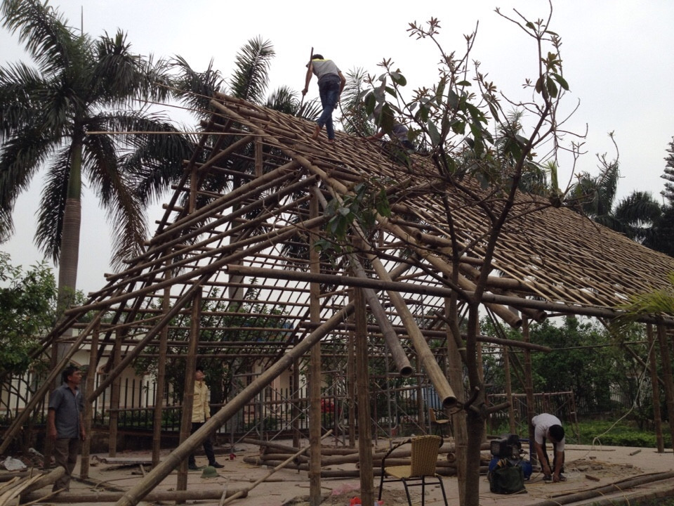 bamboo vietnam