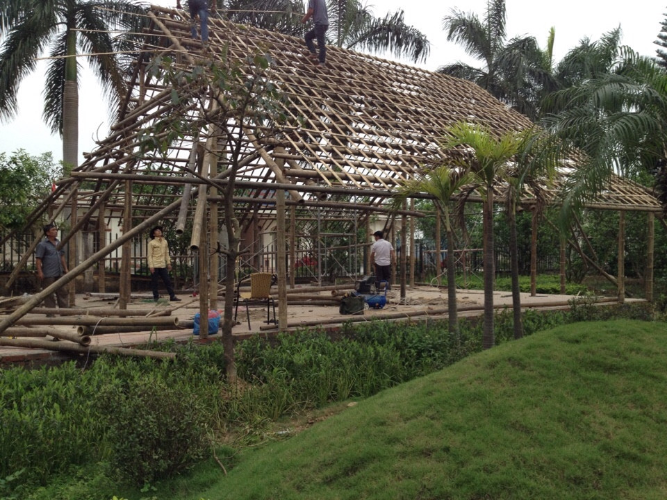 bamboo vietnam2
