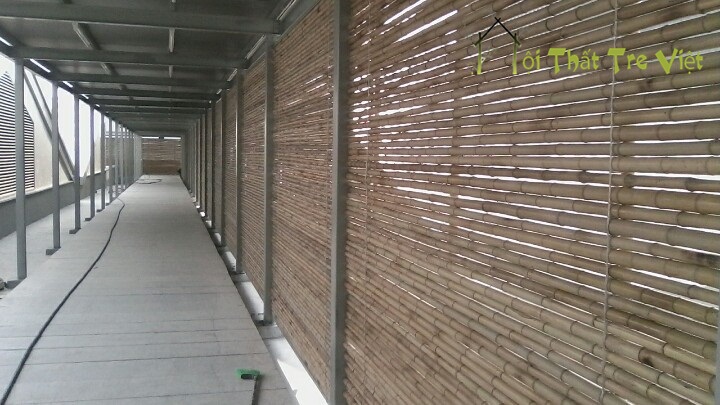 tuong tre lon