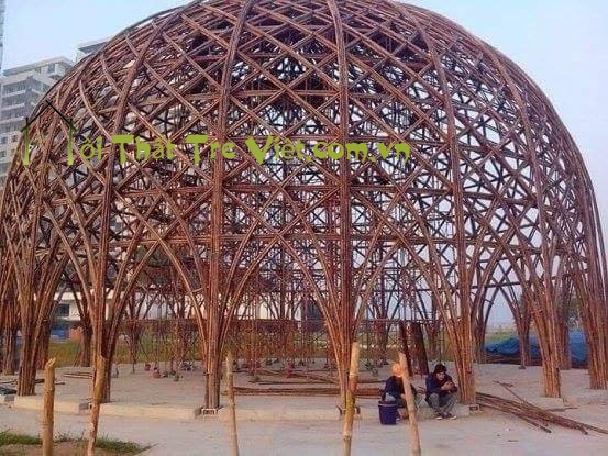 bamboo habinh viet nam