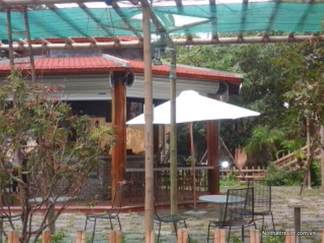hang hoa tre nua bamboo