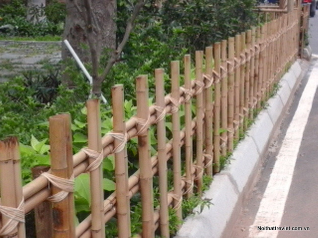 hang rao tre bamboo