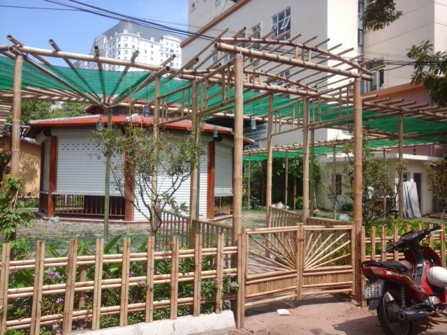GIAN HOA LAM TU CAY TRE 