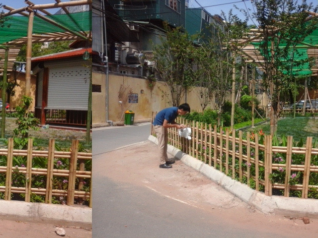 gian hoa tre nua bamboo vien e 